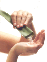 aloe vera gel price AloeMellow Foaming Facial Cleanser main image 1