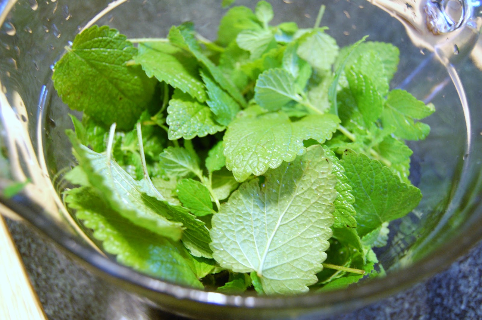 3 Ways Lemon Balm Helps Soothe & Heal Your Child
