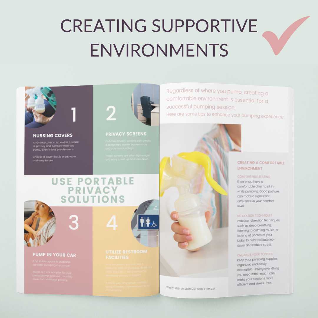 Back to Work Breastfeeding Guide: Thriving as a Breastfeeding Working Mother (Paperback