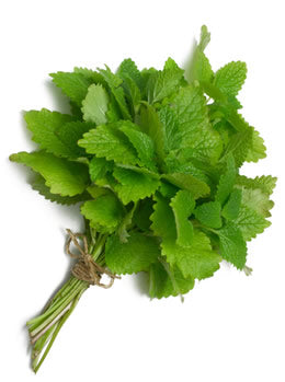 3 Awesome Ways To Use Lemon Balm (Melissa officinalis)