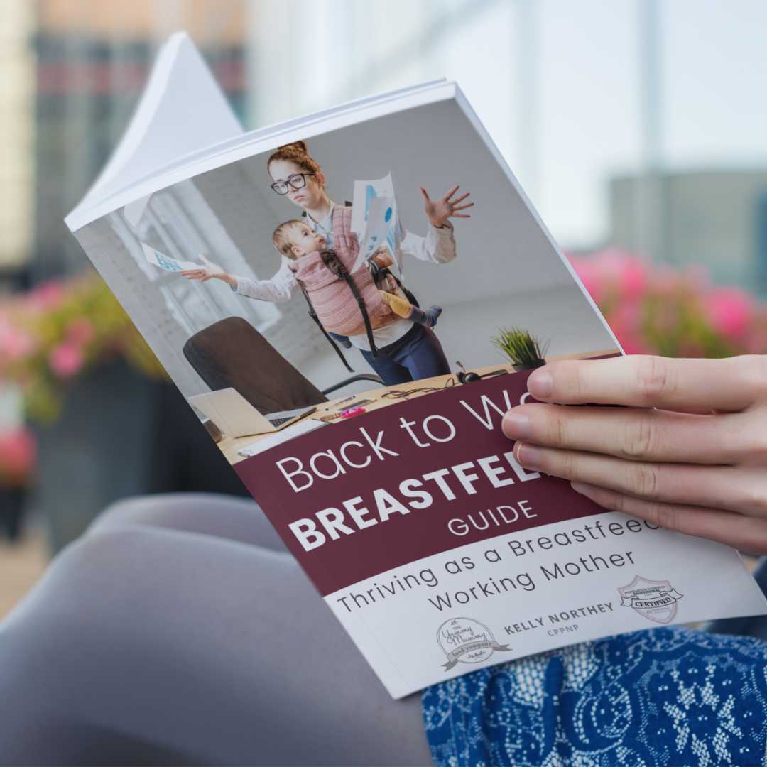 Back to Work Breastfeeding Guide: Thriving as a Breastfeeding Working Mother (Paperback
