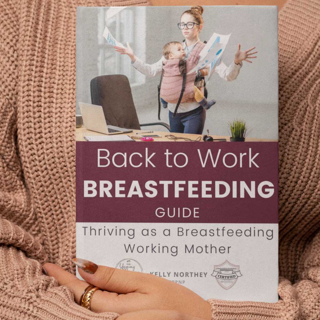 Back to Work Breastfeeding Guide: Thriving as a Breastfeeding Working Mother (Paperback