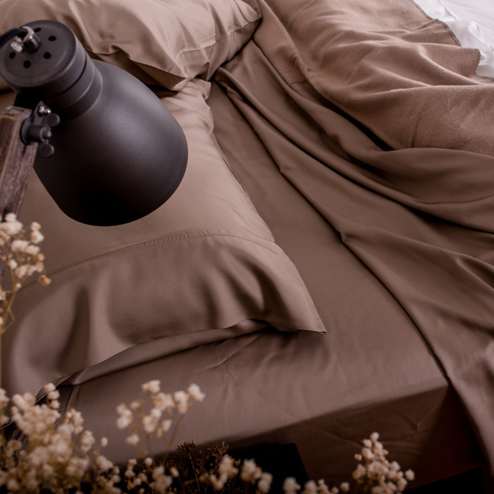 Organic Bamboo Bed Sheet Set