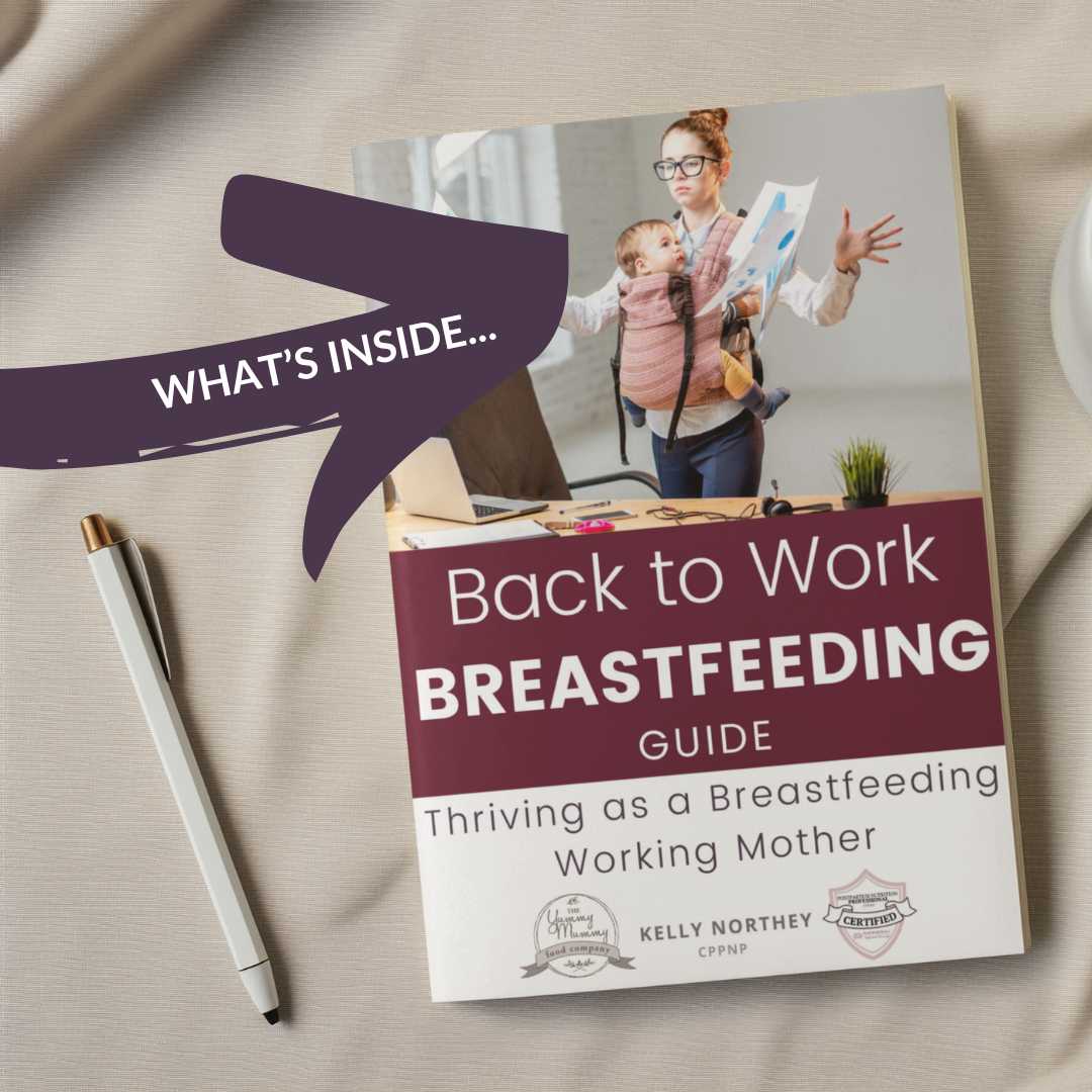 Back to Work Breastfeeding Guide: Thriving as a Breastfeeding Working Mother (Paperback