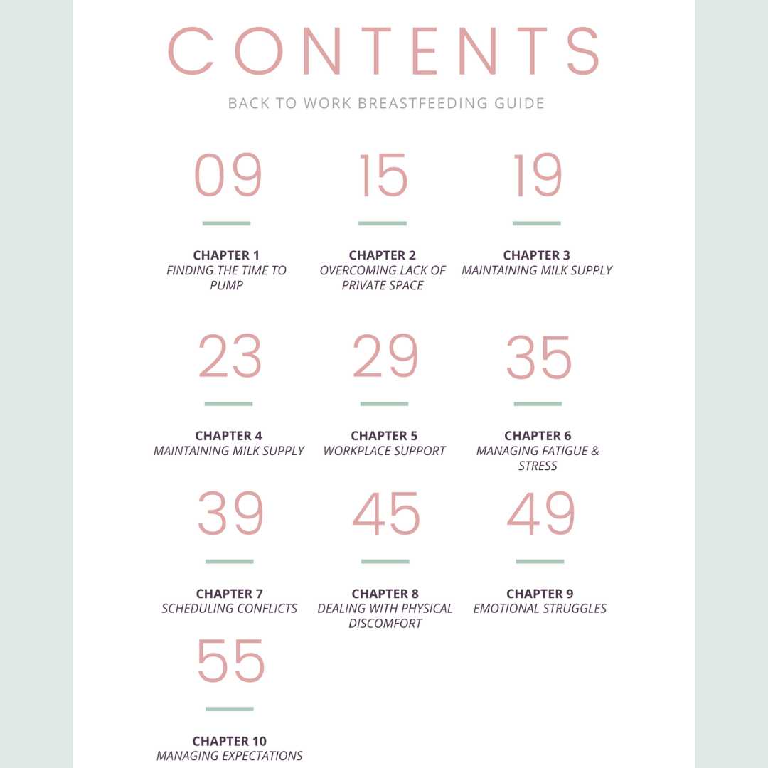 Back to Work Breastfeeding Guide: Thriving as a Breastfeeding Working Mother (Paperback