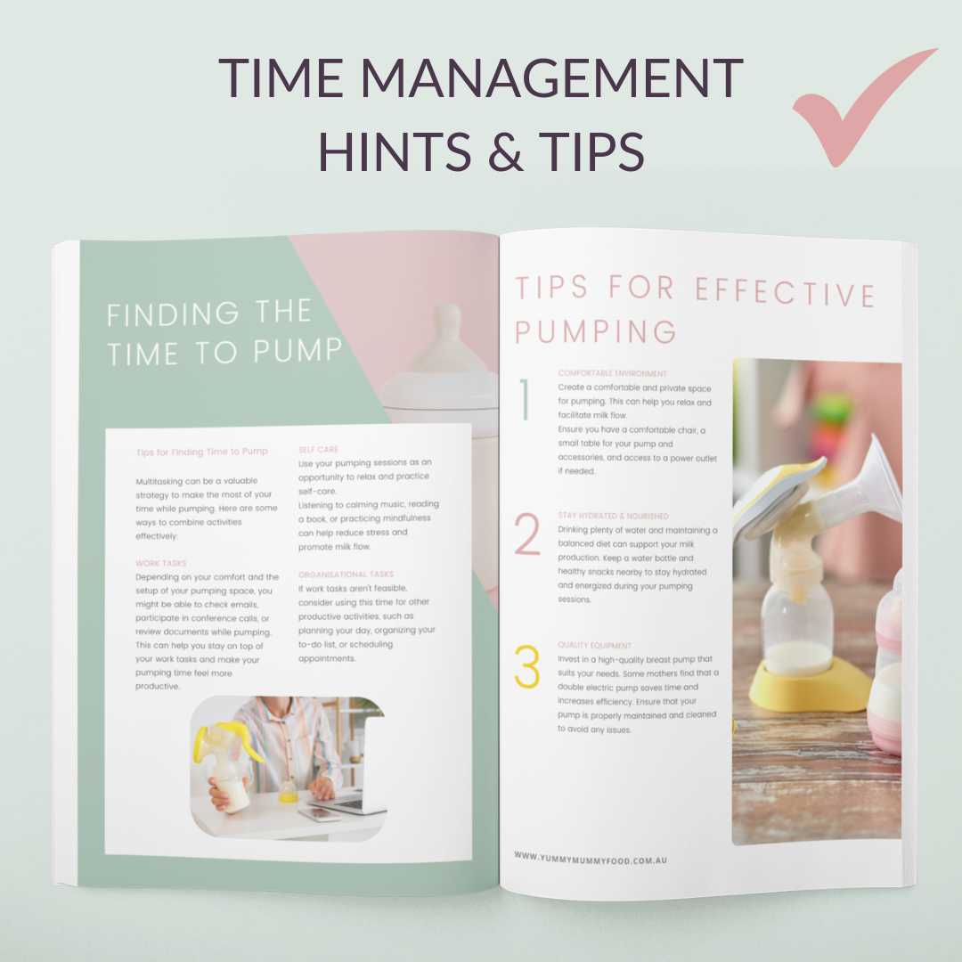 Back to Work Breastfeeding Guide: Thriving as a Breastfeeding Working Mother (Paperback