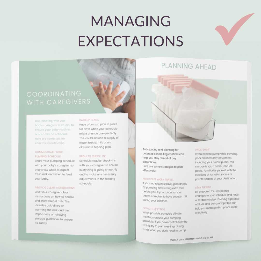 Back to Work Breastfeeding Guide: Thriving as a Breastfeeding Working Mother (Paperback