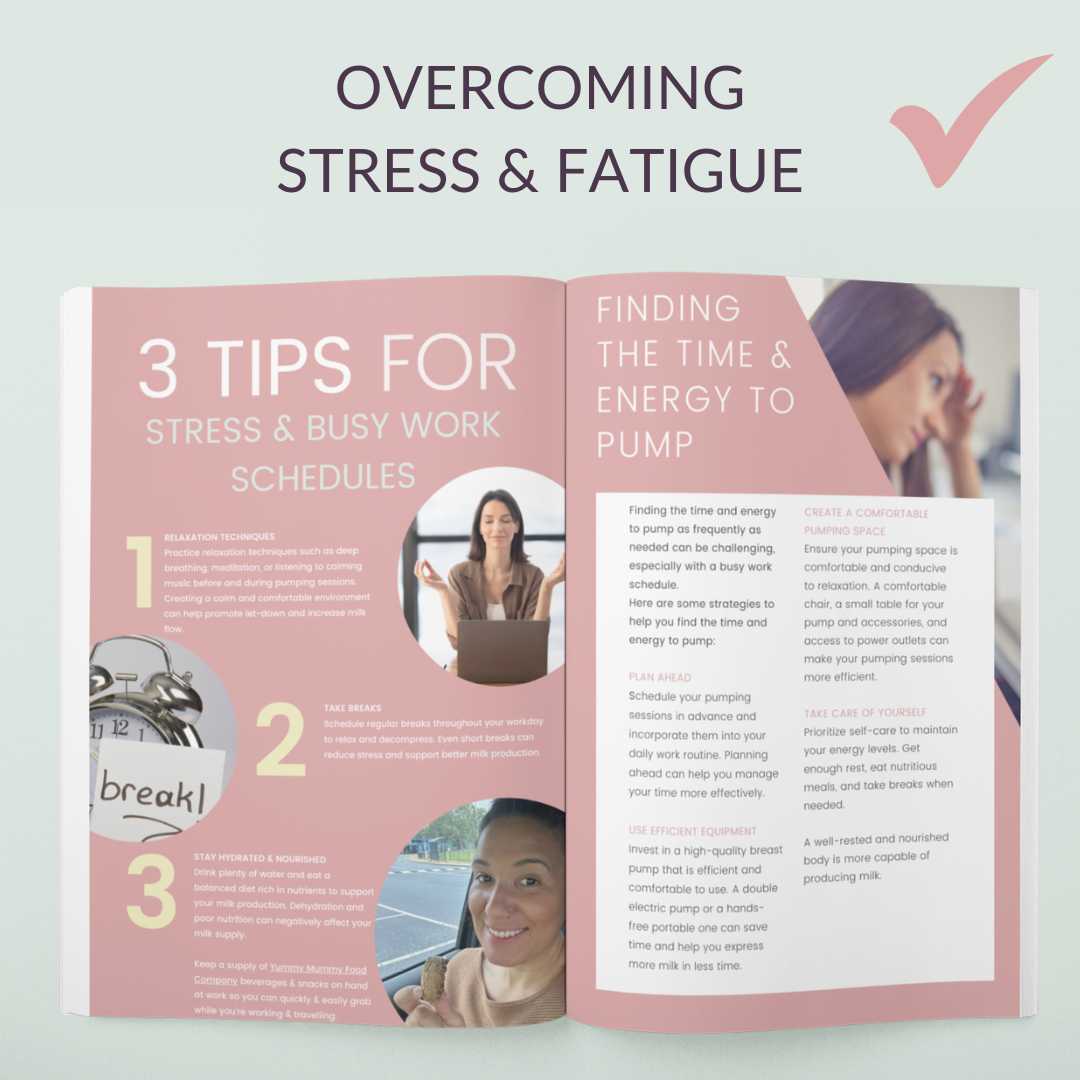 Back to Work Breastfeeding Guide: Thriving as a Breastfeeding Working Mother (Paperback