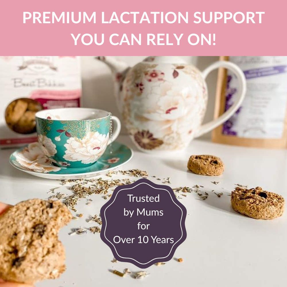 Nourish Mama Lactation Cookies - Fennel & Fenugreek | Breastfeeding Support Snack