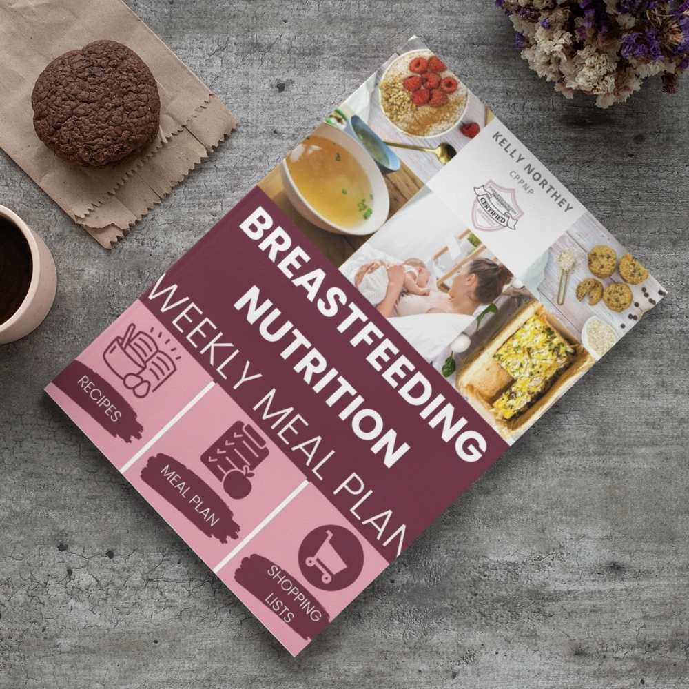 Breastfeeding Nutrition Weekly Meal Plan (Paperback)