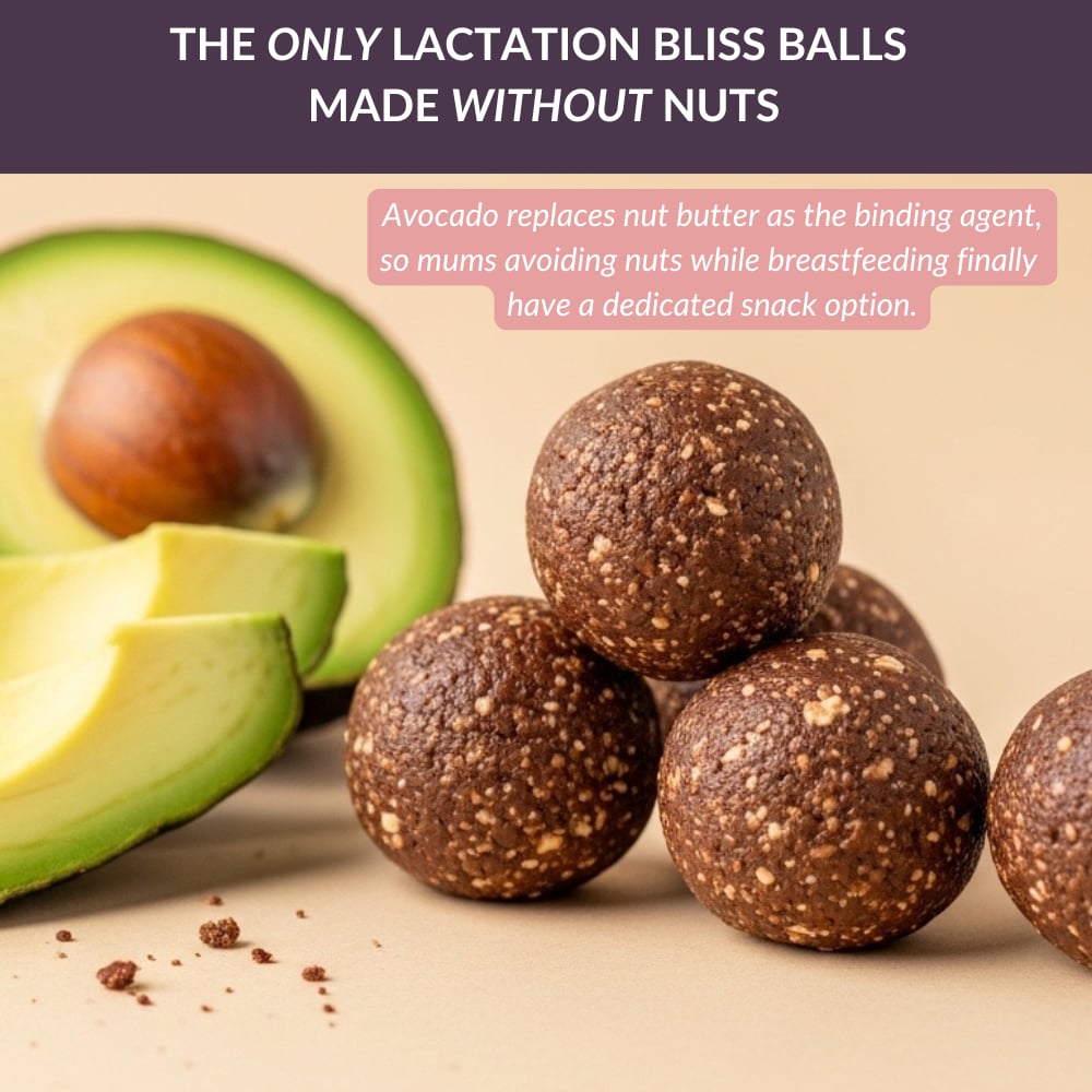 Nella Vosk Nourish Mama Lactation Bliss Balls